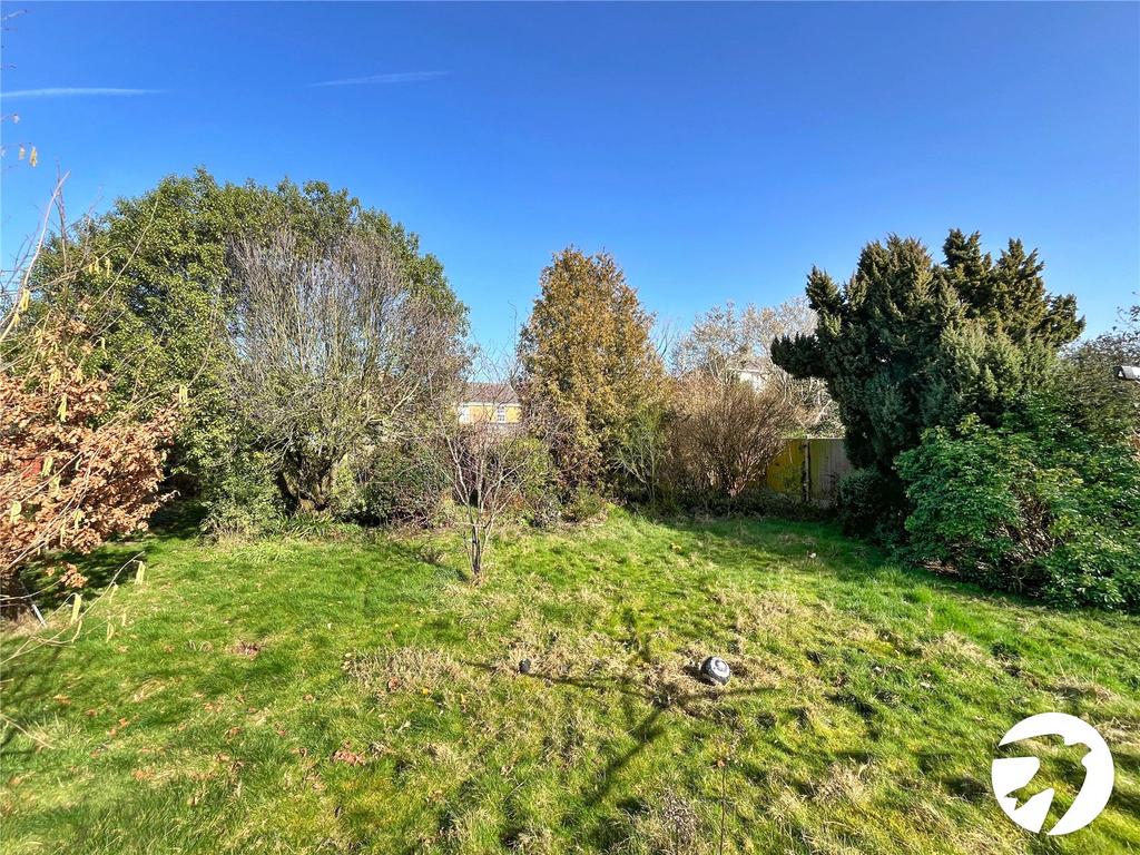Picture No. 11