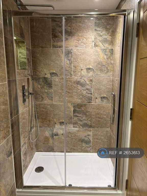 Walk In Shower With Contemporary Finish