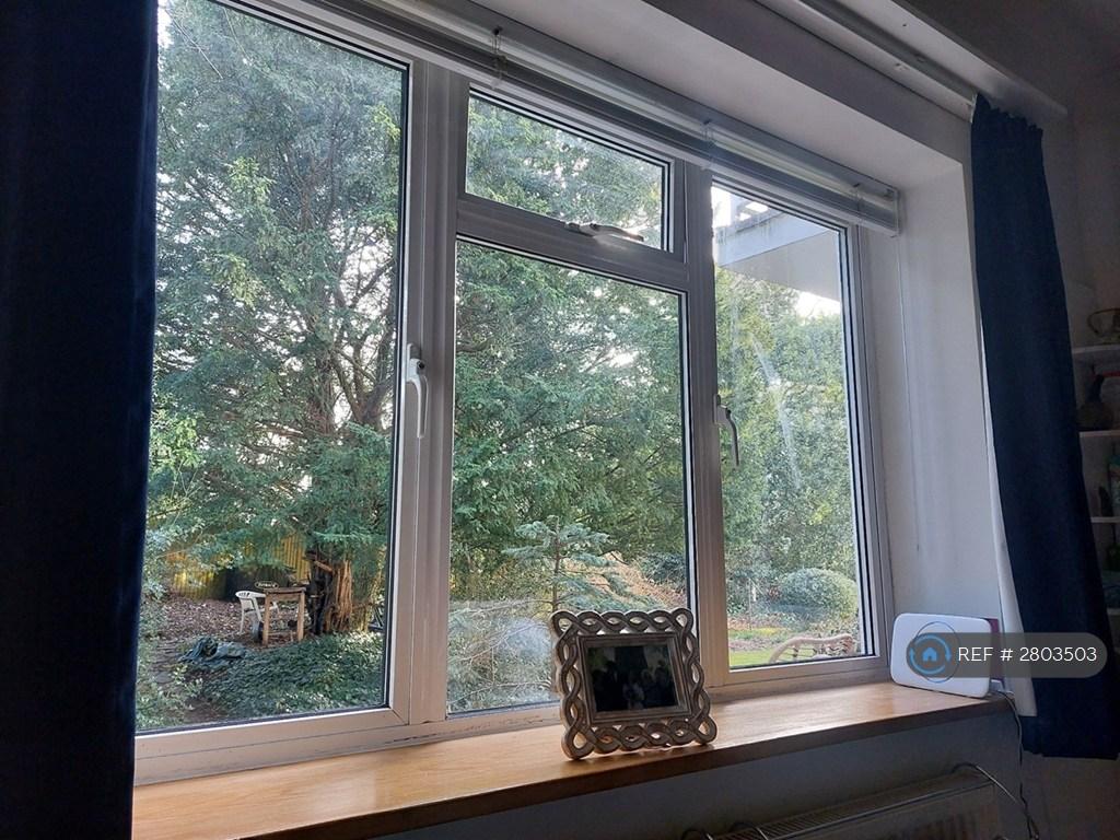 View From Main Bedroom