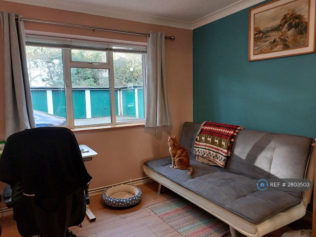 Spare Room/ Study