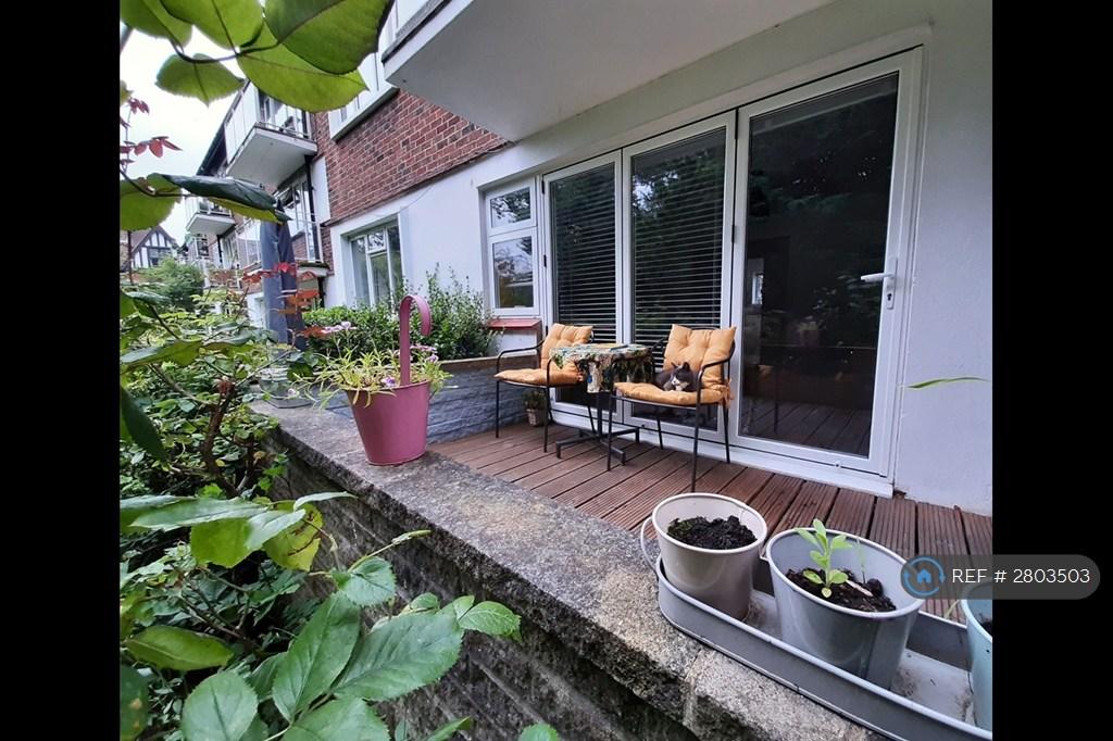 Patio View From Garden
