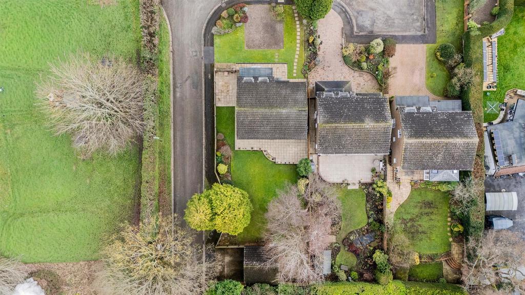 THE BEECHES, 2 DRONE (8).jpg