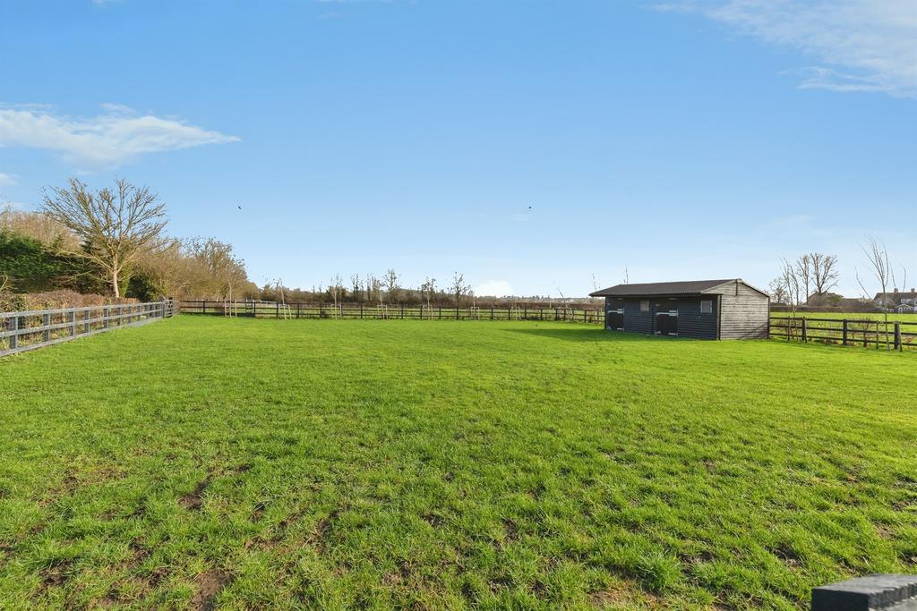 Grass Paddock