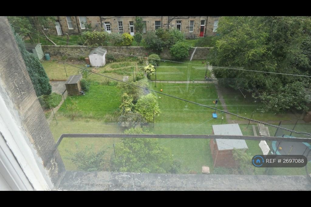 Shared Garden