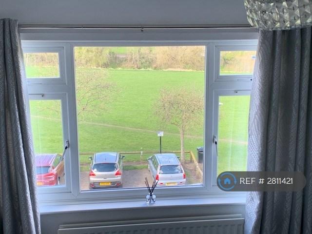 View From Living Room