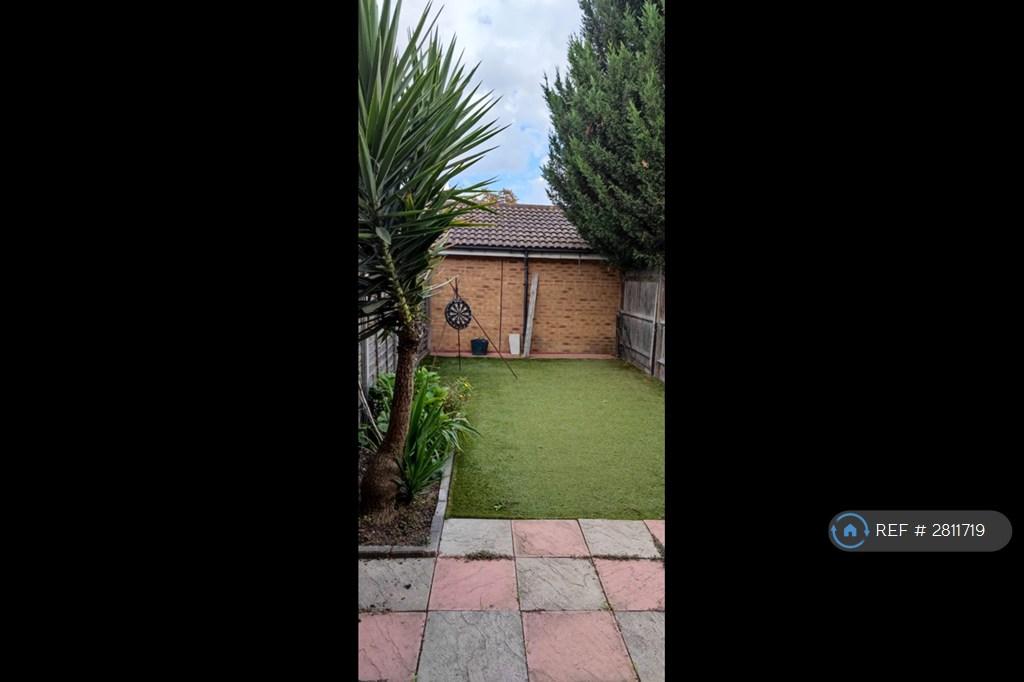 Back Garden