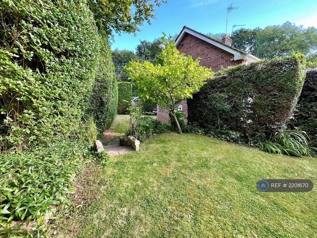 Side Garden
