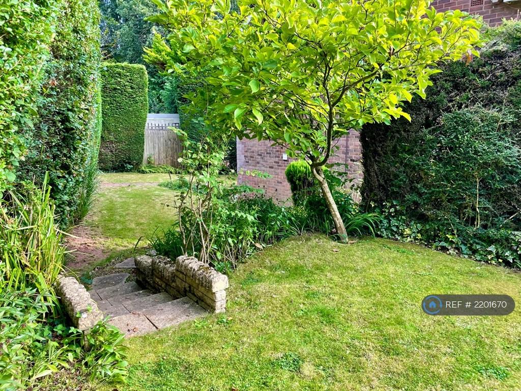 Side Garden