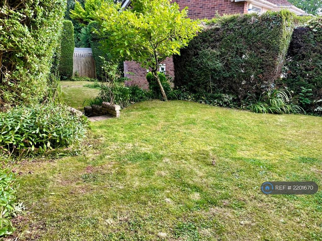 Side Garden
