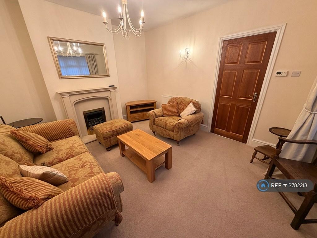 Lounge With Gas Fire