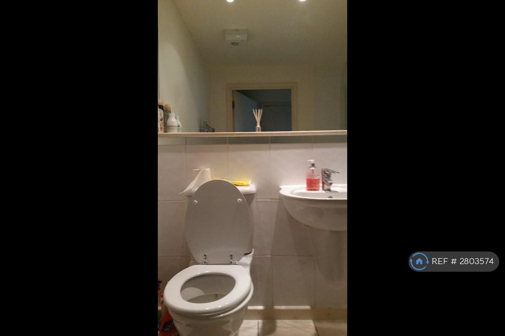 Bathroomview1