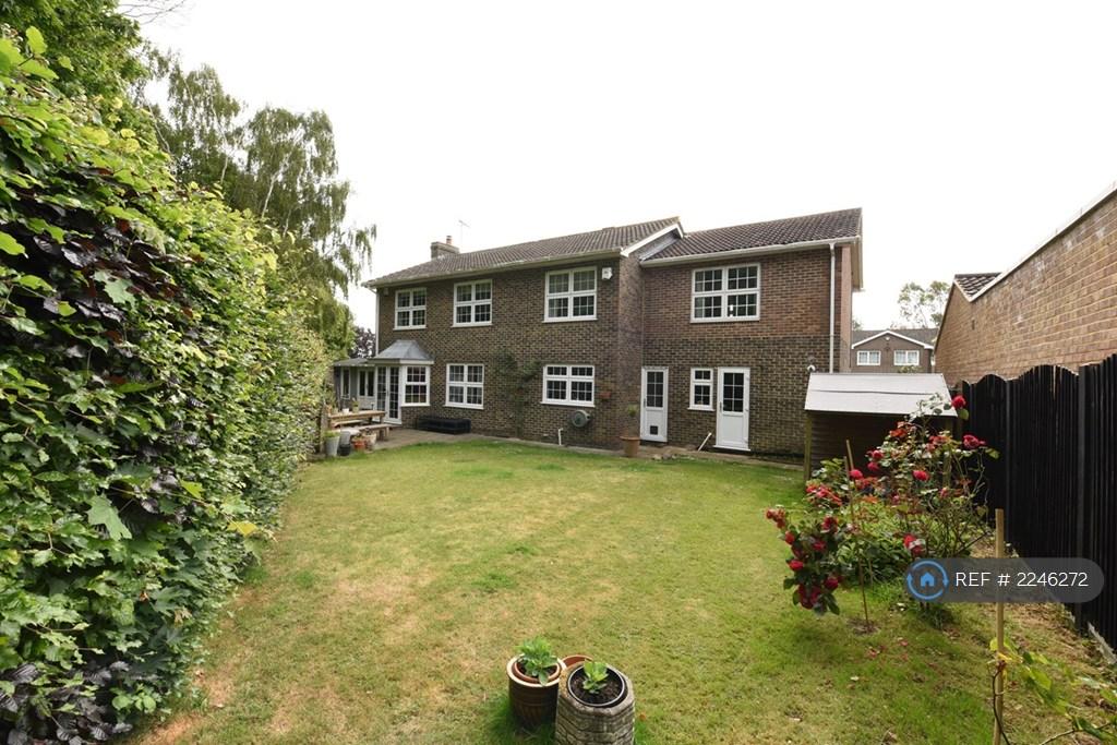 Back Garden