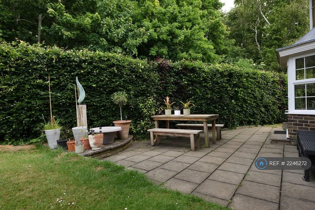 Back Garden Terrace