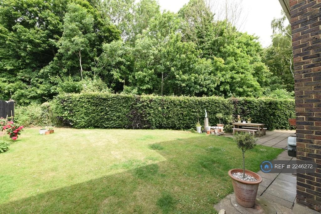 Back Garden
