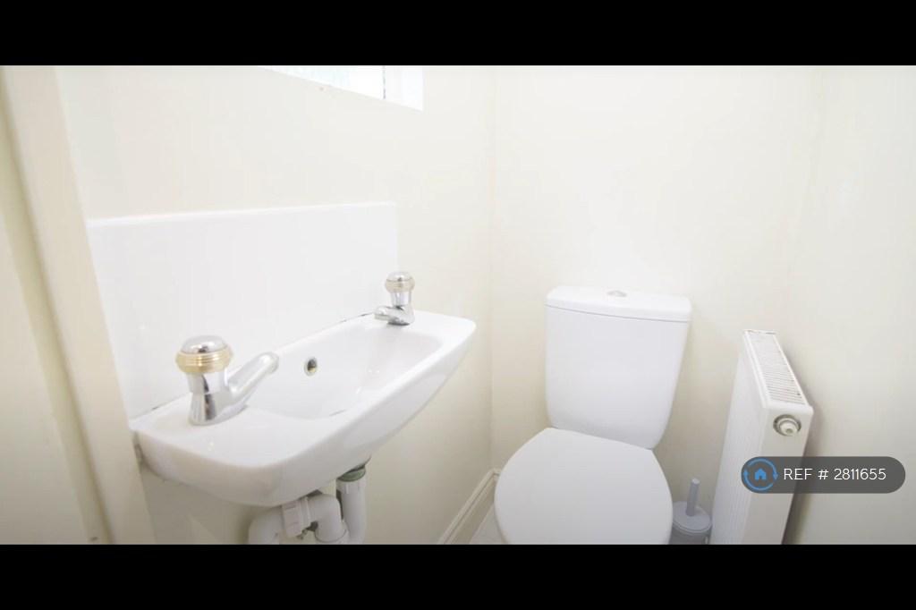 Toilet Downstairs