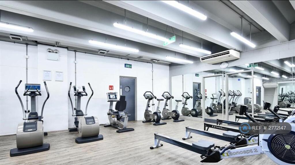 The Gym