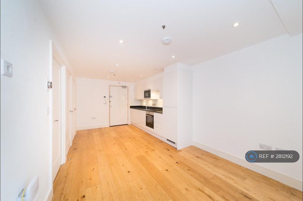 Living Room/Kitchen Area
