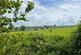 Oaklands, Weedon, NN7 4RH photo 5