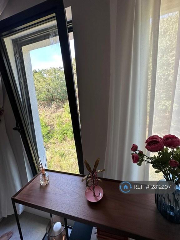 Opening Windows In Bedroom