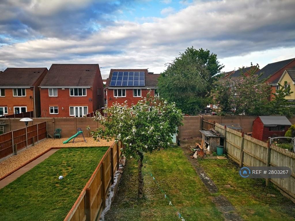 Garden View From Back Bedroom