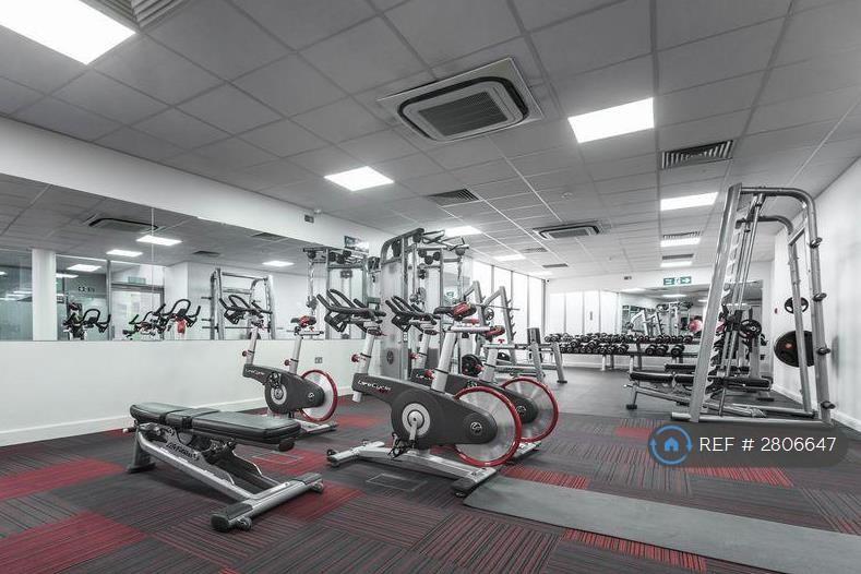 Residents Only Gym   2 Bed 2 Bath Near Greenwich