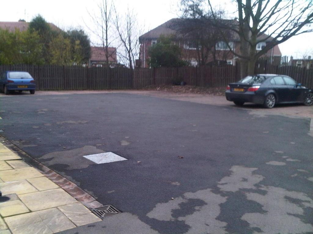 IMG00037-20100120-1433.jpg