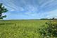 Additional image 5 of Oldfield Drive, Heswall, CH60
