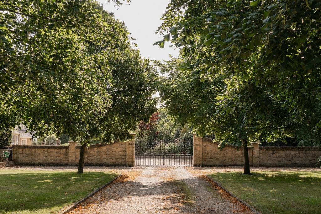 Driveway