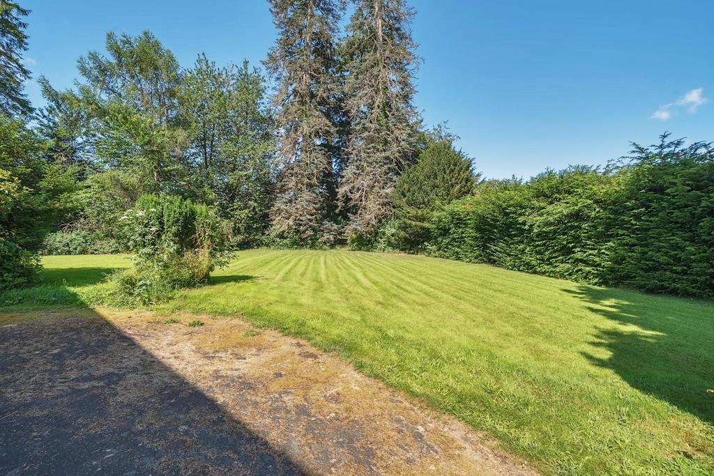 Driveway view.jpg