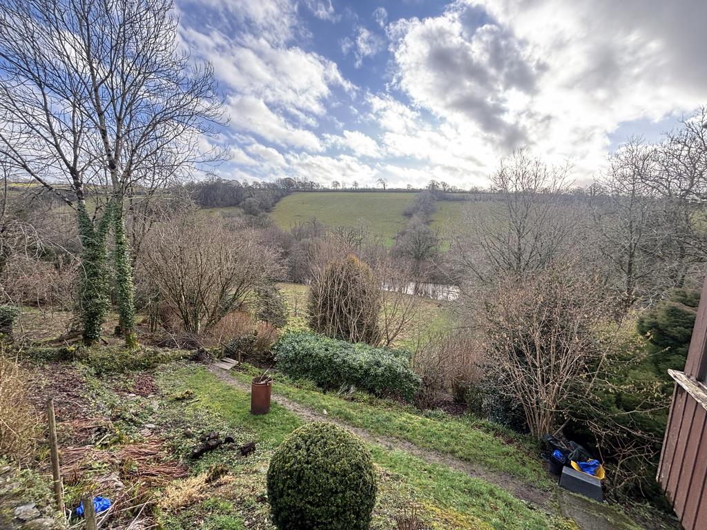 Mature garden