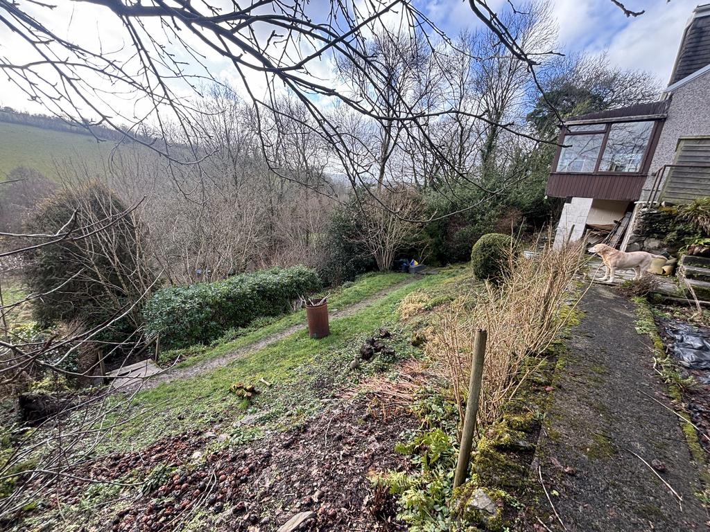 Mature garden (second image)
