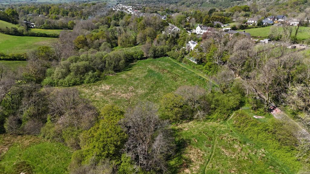 Parkland (fourth image)