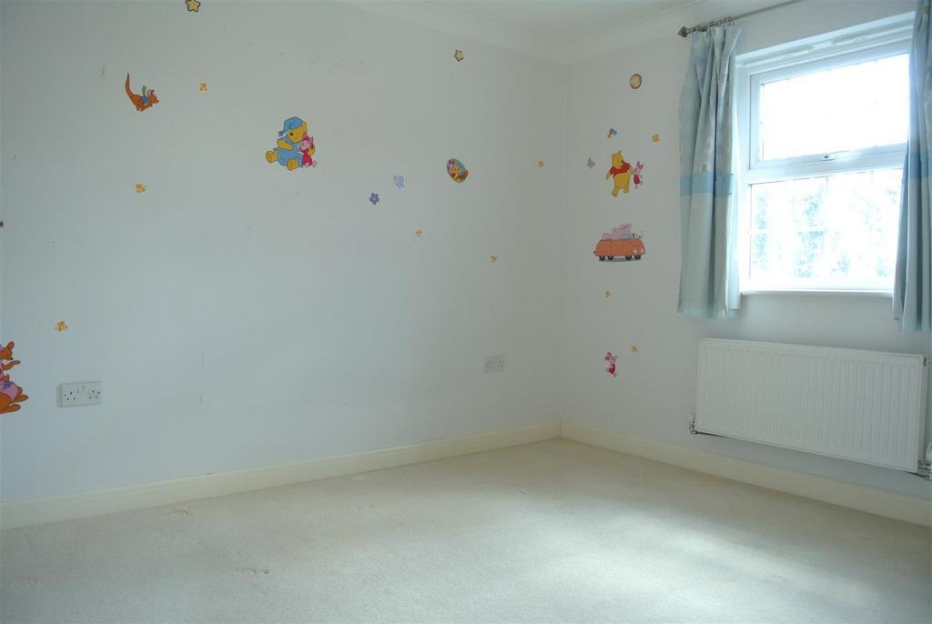 Picture 12
