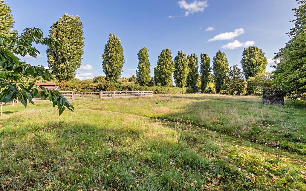 Grounds