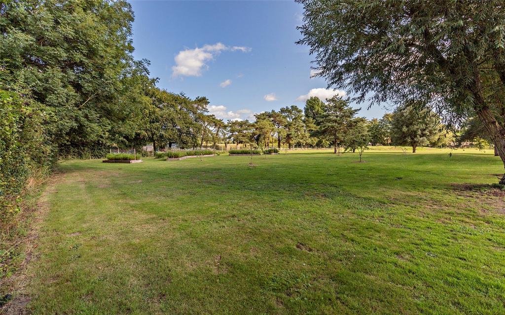 Grounds