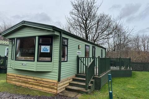 undefined, Bala North Wales
