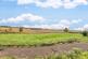 Additional image 32 of Bury Lane, Codicote