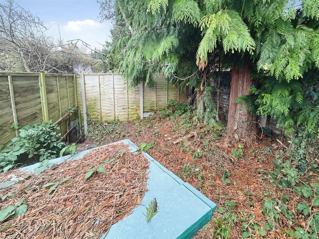 Garden.jpg