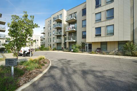 Pankhurst Avenue, Brighton
