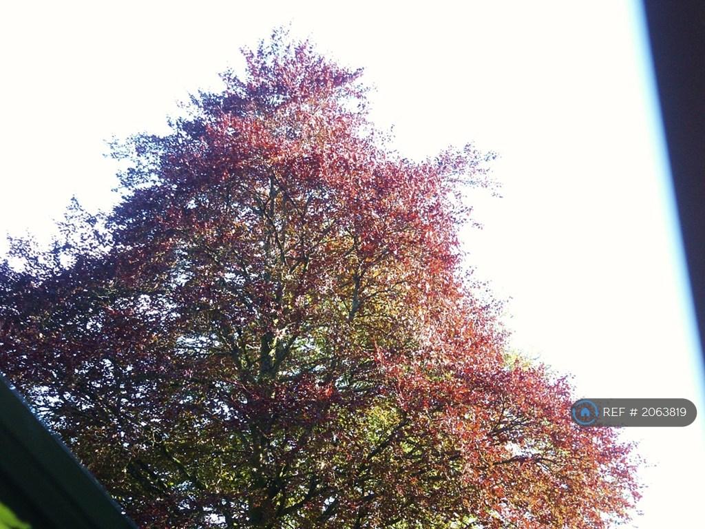 From Main Window