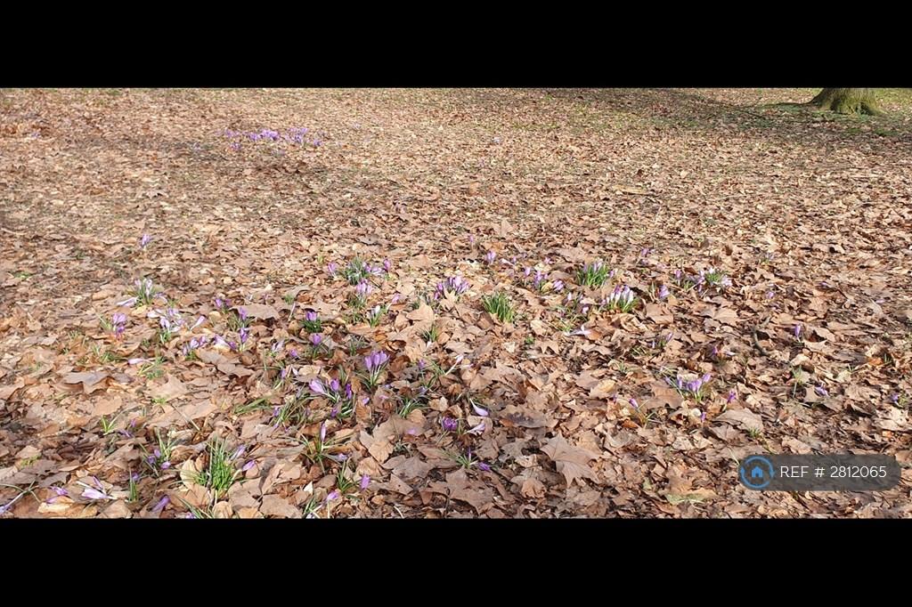 Farnham Park