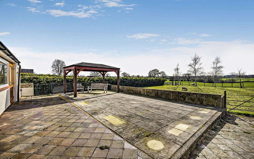 Patio & Pergola