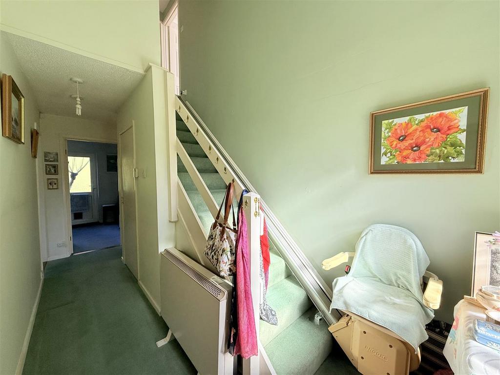 Temp Imagef CTNIA.jpg