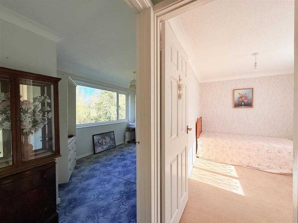 Temp Imageq Ntp Nk.jpg