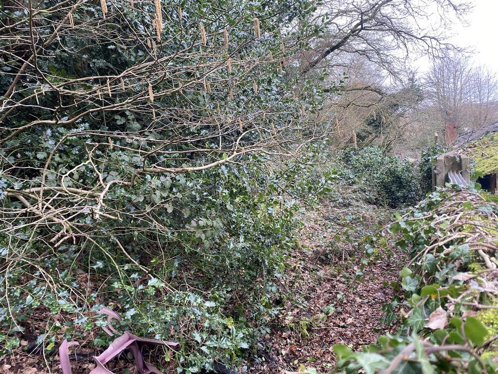 Img 1915.jpg