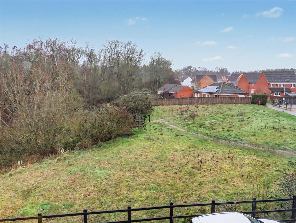 Views of the heath
