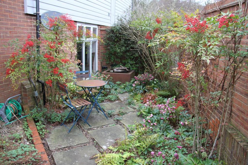 Side garden.JPG