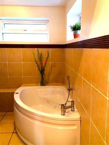 Bathroom zoom.jpg