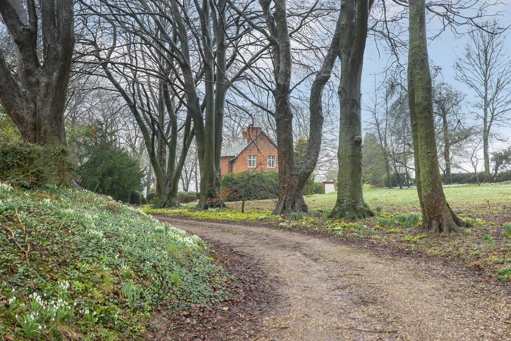 Driveway