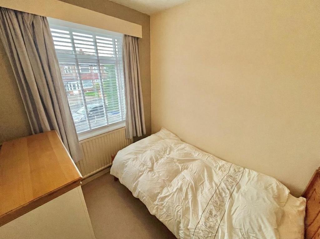 Firefly 20260302151954.png